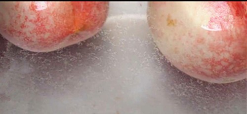 如何快速去除桃毛？