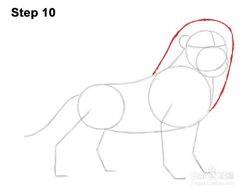 如何绘制Simba（长大）——加菲的吃货生活