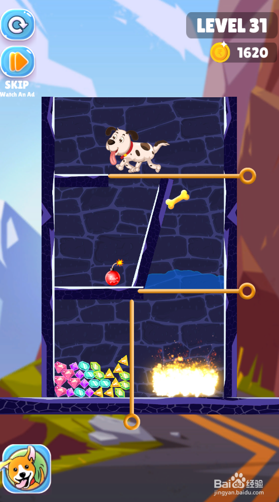 Save The Puppy的LEVEL 31如何通关？