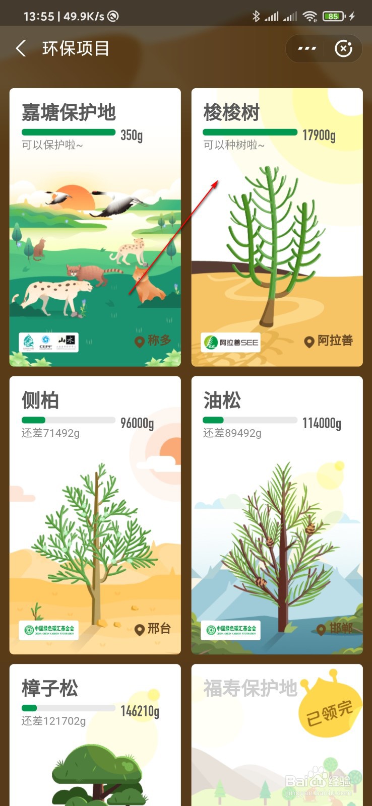 支付宝怎么种树