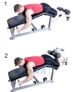 健身房基础力量锻炼计划