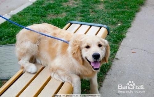 清理地上头发的好帮手!