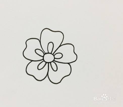 在画出的五个小椭圆上再画出五片花瓣,形状类似一颗牙齿.