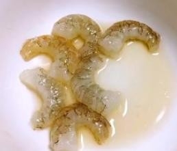 鲜美嫩滑蒸蛋羹