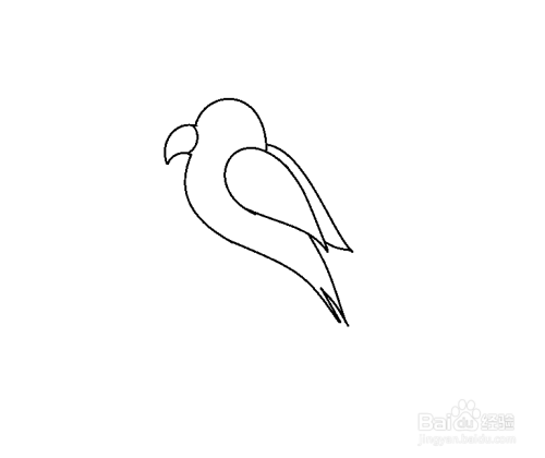 怎么简单画鹦鹉