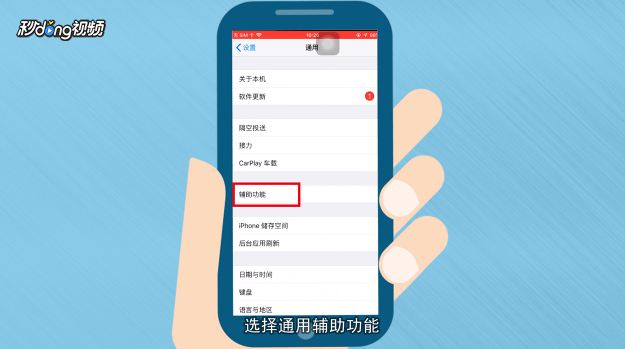 苹果辅助功能选项怎么设置