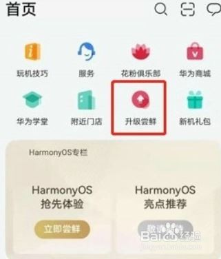 华为nove7如何升级鸿蒙系统