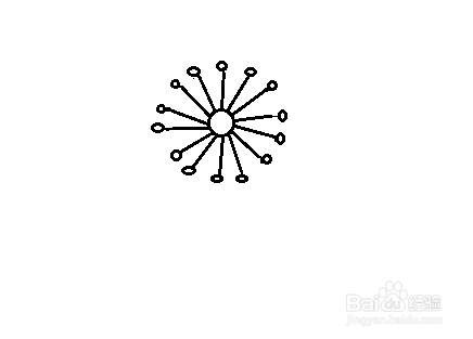 简笔画-如何画菊花的简笔画