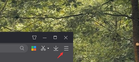 360极速浏览器网络怎么设置?