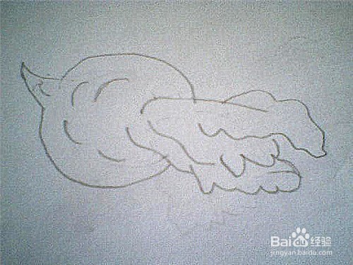 简笔画带叶子的大萝卜