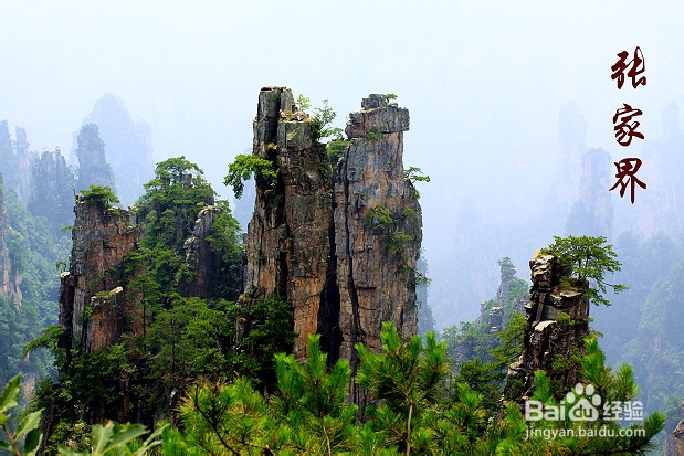 湖南张家界自驾车旅游
