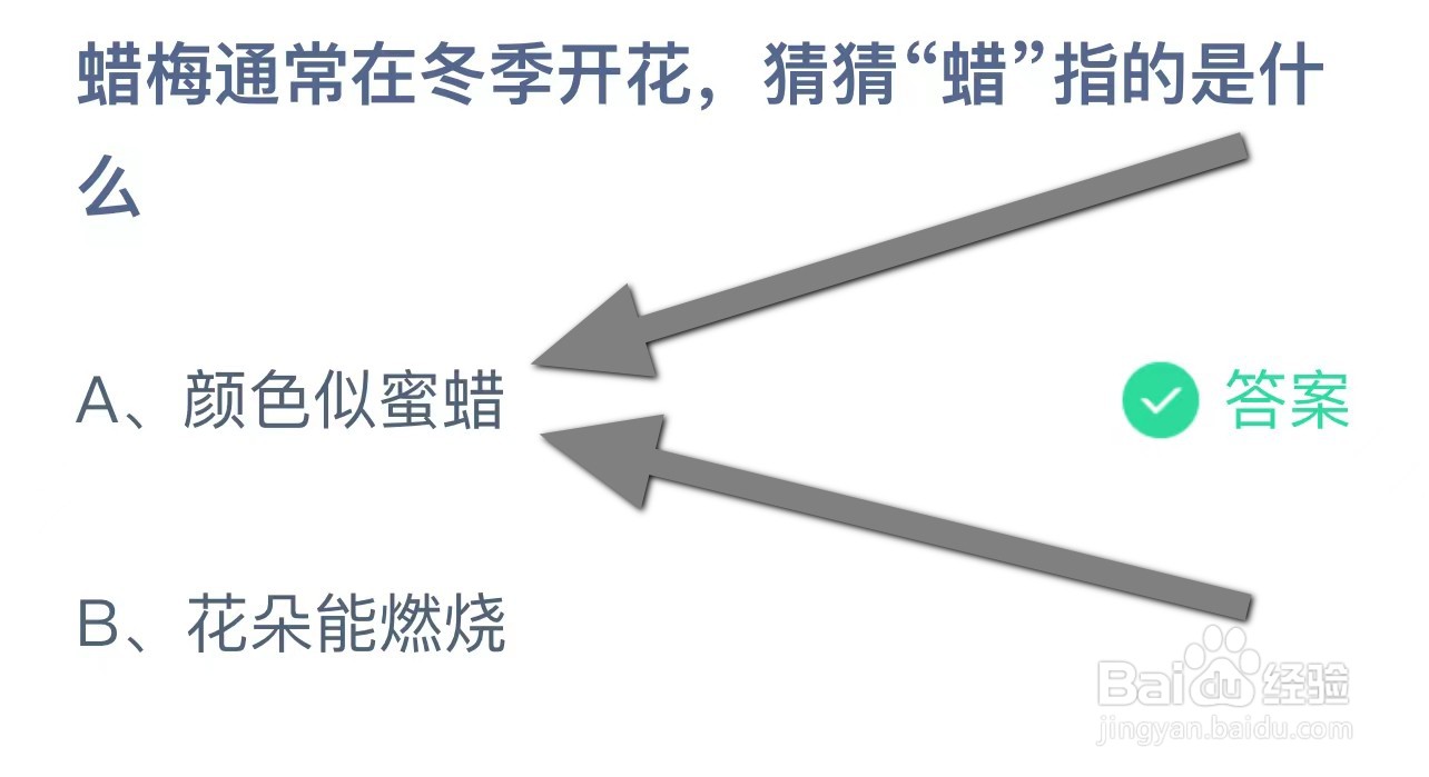 蜡梅通常在冬季开花，猜猜“蜡”指？蚂蚁庄园