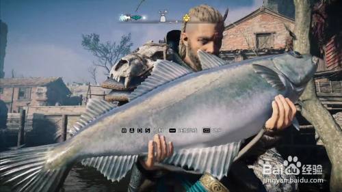 刺客信条英灵殿金雀号最后的出航攻略