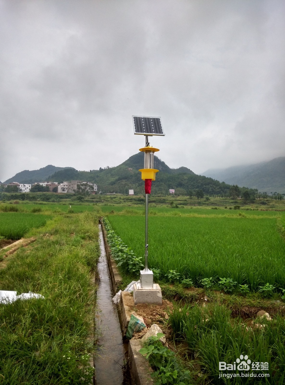 农业杀虫灯价格是多少？