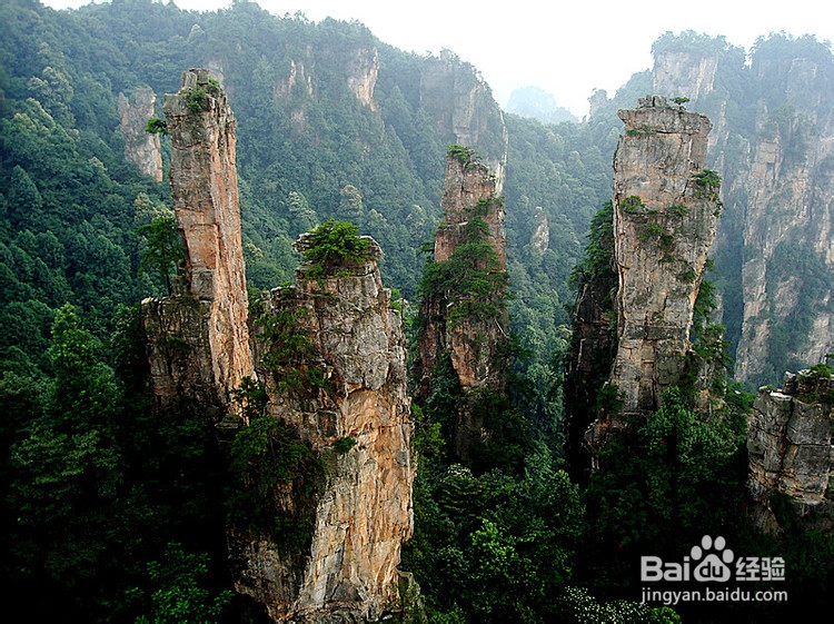 张家界自助游一家亲