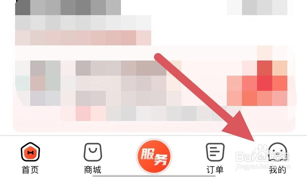 宠物家如何开启个性化内容推荐?