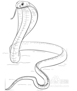 画大蛇简单图片