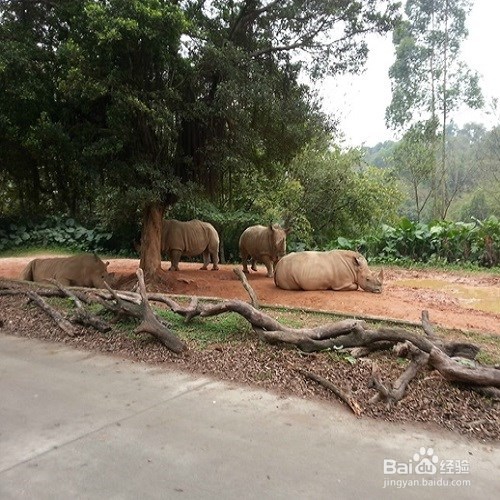 北京到广州长隆周末游日程安排
