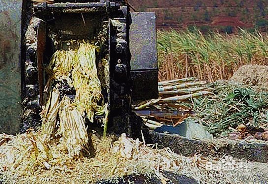 江西上饶古方红糖烘干机项目案例展示