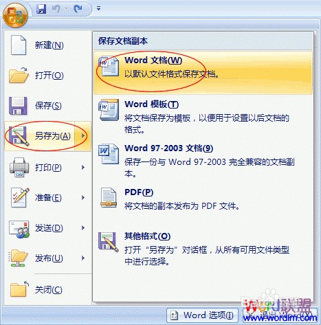 Word2007教程：[6]如何给Word2007文档加密