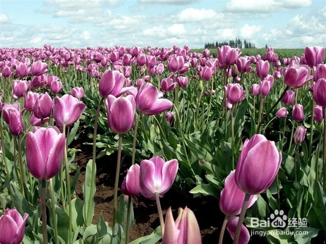 在网上银行怎样修改工行预留手机号码