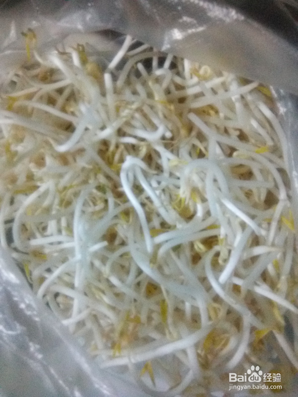 大蒜碎香菜拌绿豆芽