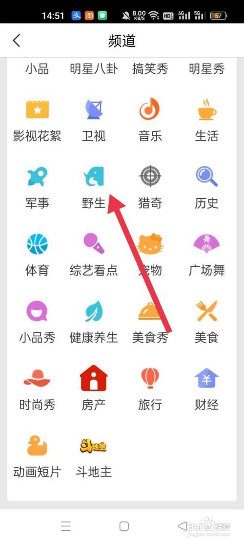百搜视频怎样查看野生频道