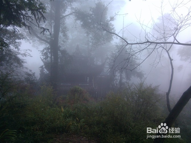 成都清明节旅游攻略