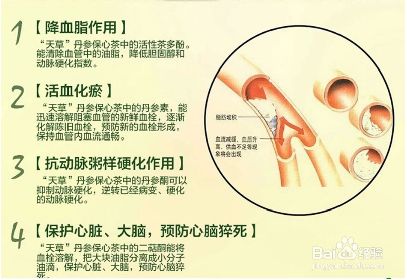 如何泡出好的天草丹参茶?功效又有哪些