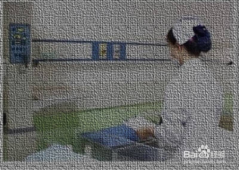 新生婴儿怎样戴头面罩吸氧