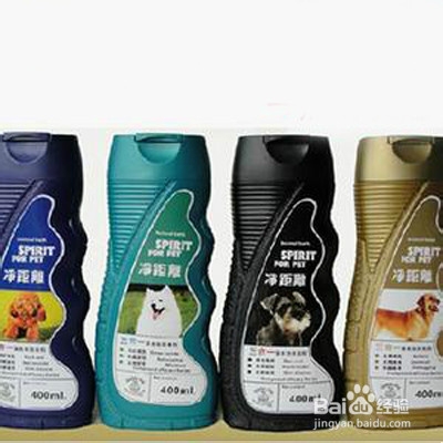 收养流浪狗你需要准备哪些？