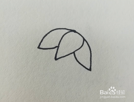 简笔画的一串葡萄怎么画
