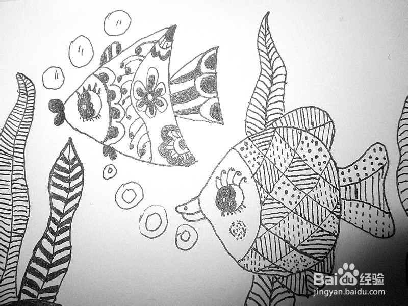 黑白线描画《美丽的鱼儿》的作画步骤