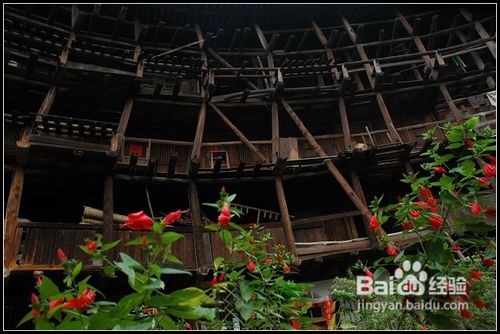 怎样在二日内游遍永定一南靖土楼的主要景点