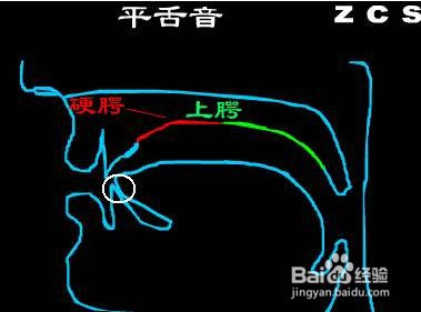 拼音翹舌平舌怎麼區分