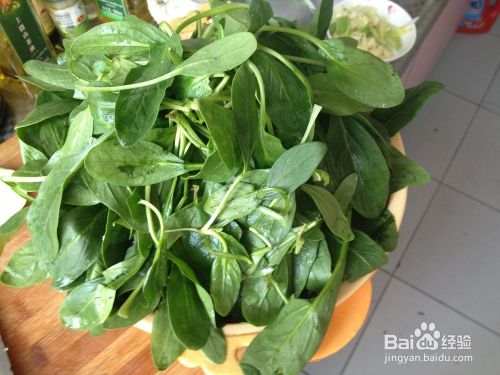 胖胖解馋的美食 素炒菠菜苗 百度经验