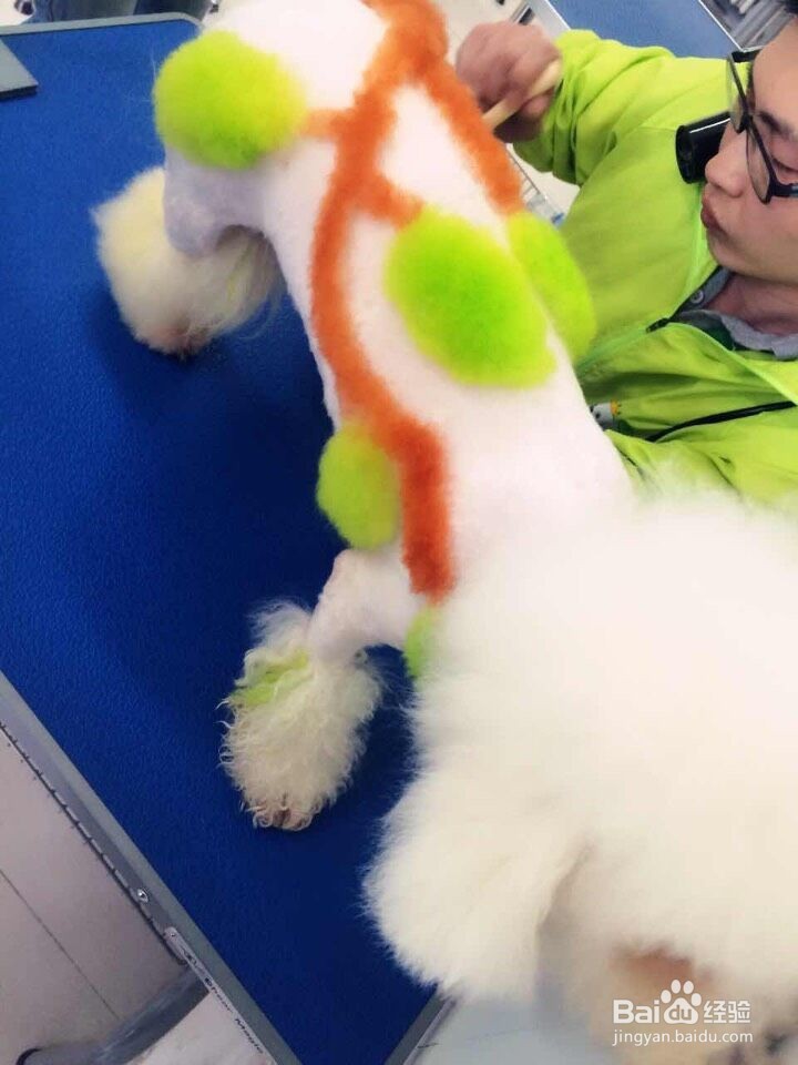 宠物美容学校的收费标准是依据什么来的？