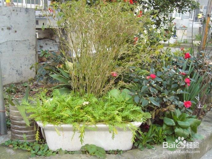 生活中哪些旧物可以再次利用？