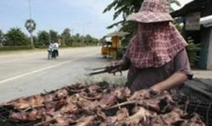 什么是鼠疫的症状