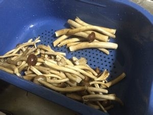 教你怎么做干煸茶树菇