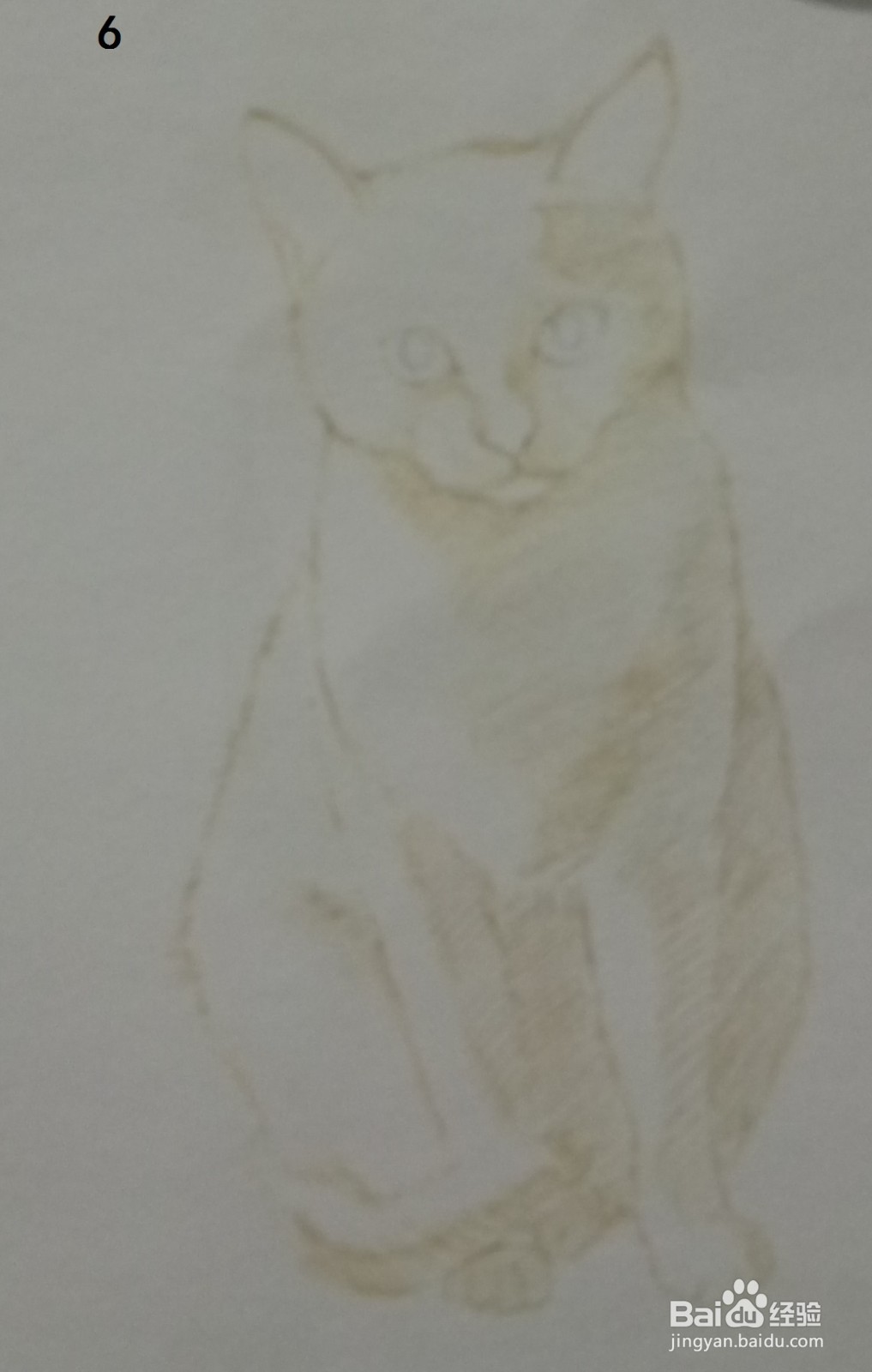 色铅笔画浅黄色小猫咪(素描进阶)
