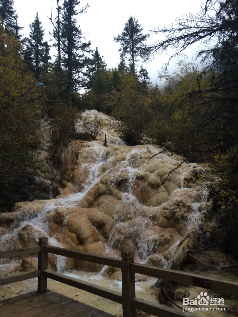 四川九寨沟、黄龙3天2夜旅游攻略