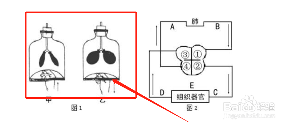 声乐气息练习方法