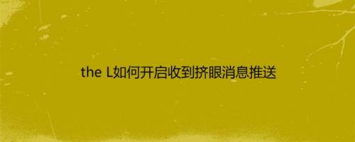 the L如何开启收到挤眼消息推送