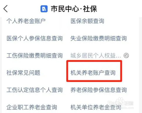 支付宝怎么查机关养老账户