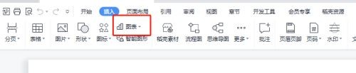 WPS在哪插入图表？