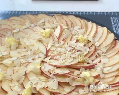 苹果派焙可美水果派盘的做法