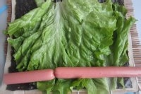 怎么做豆皮生菜卷