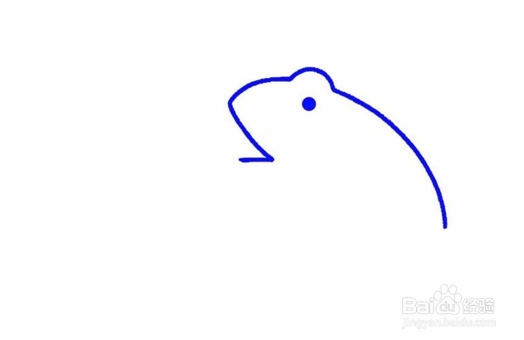 简笔画蹲着的青蛙怎么画？