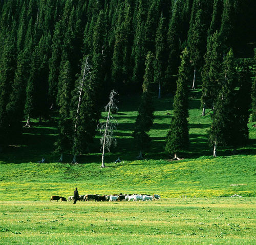 新疆摄影创作之摄影线路篇